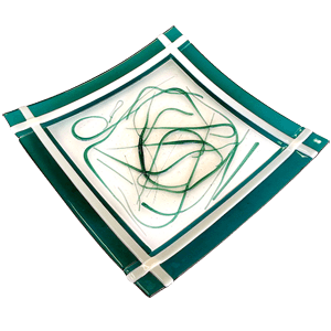 Green Tray 300x300