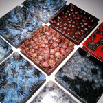 Pressed Vitrigraph Murrine Tray with Nathan Sandberg ~ December 9, 2025