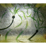 RECORDED LINK Rick Silas The Art of Ice Glass