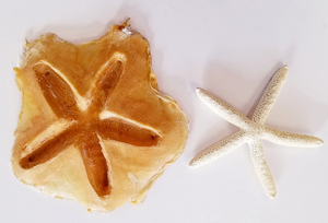 Starfish1 300