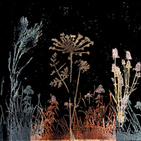 Mica Stamped Garden200x200