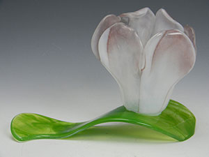 6 Lavander Tulip 300