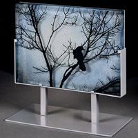 EarlyWorkBlackbird200x200