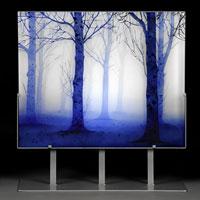 LaterWork TreesInTwilight200x200