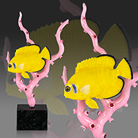 Lemon Peel Angelfish AFTERcollage200