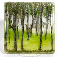Into the Woods with Susan Hirsch ~ August 13, 2026