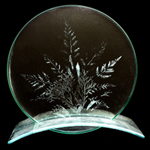 RECORDED LINK Dennis Brady's Ghost Foliage