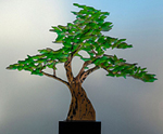 RECORDED LINK Craig Mitchell Smith's Bonsai Tree