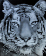 RECORDED LINK Harish Dewani's Realistic Sandblasting