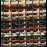 RECORDED LINK Dennis Brady's Glass Weaving