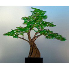 RECORDED LINK Craig Mitchell Smith Bonsai Tree