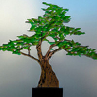 RECORDED LINK Craig Mitchell Smith Bonsai Tree